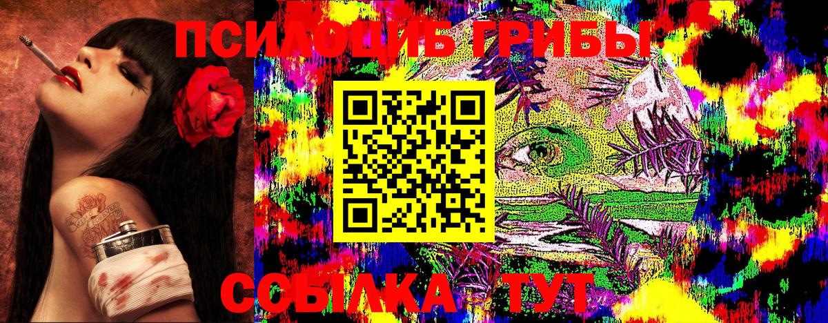 Галлюциногенные грибы Magic Shrooms  Вход с VPN  закладка  Новодвинск 