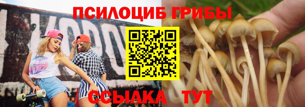Псилоцибиновые грибы прущие грибы Новодвинск